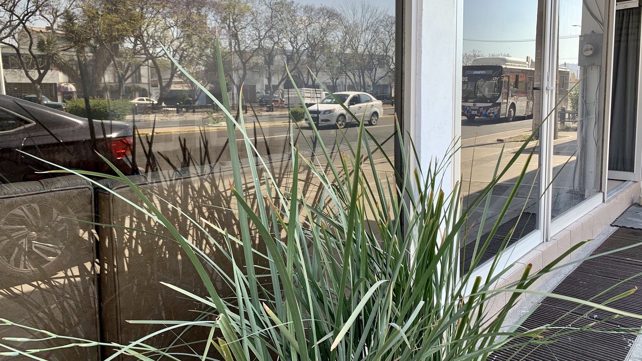 Photo of Outdoor in Aguascalientes