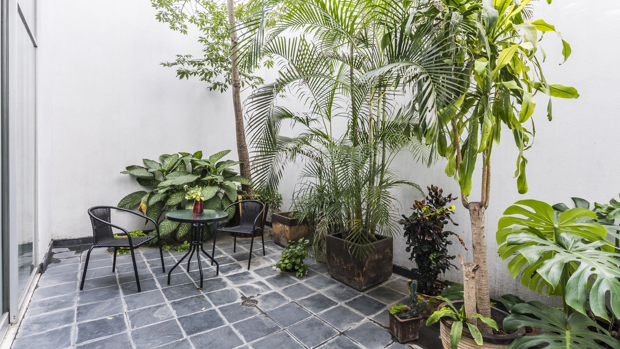 Photo of Outdoor in Americana