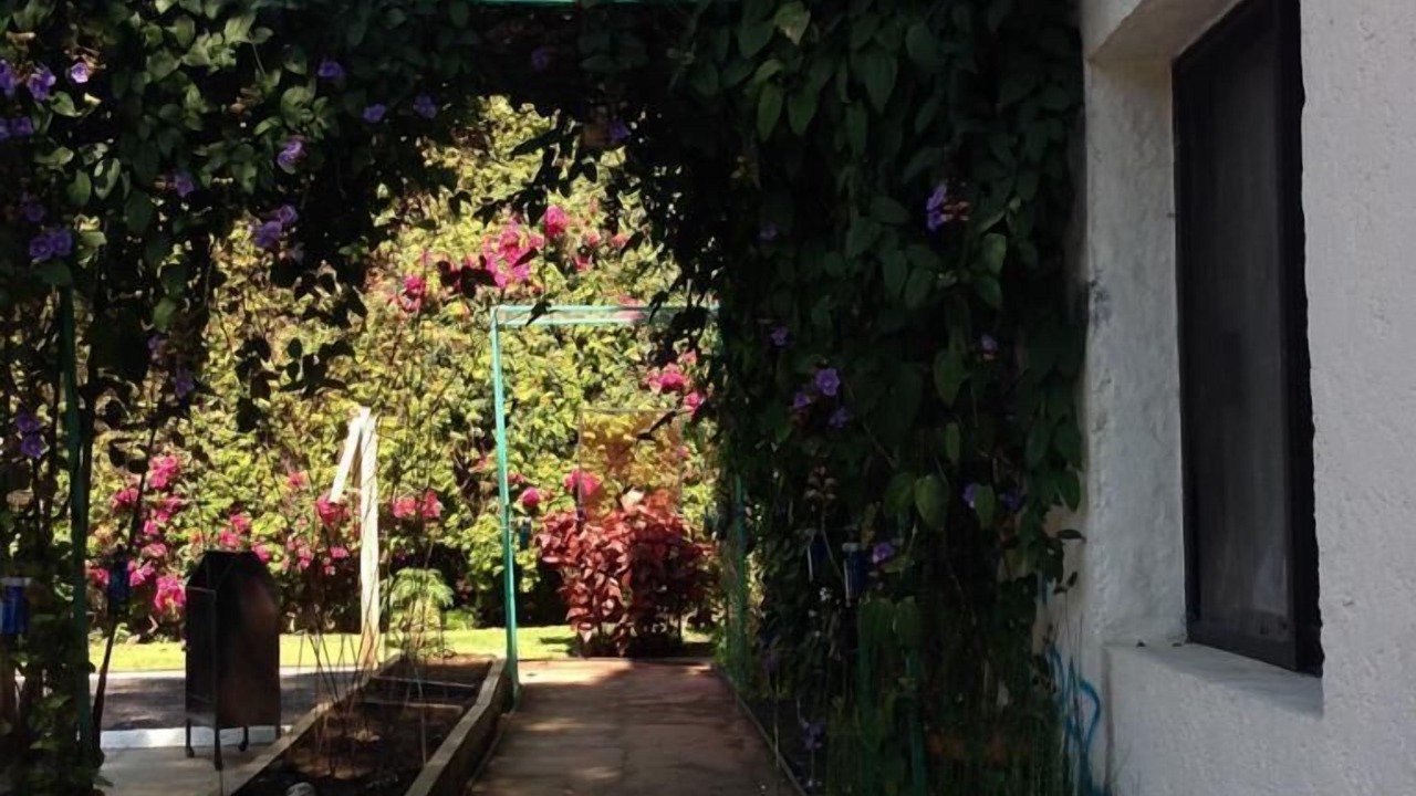 Photo of Outdoor in Cuernavaca