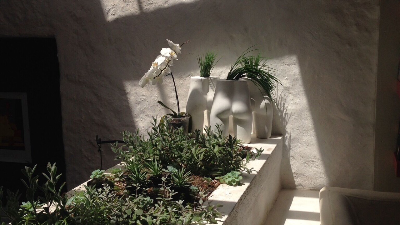 Photo of Outdoor in Cuernavaca