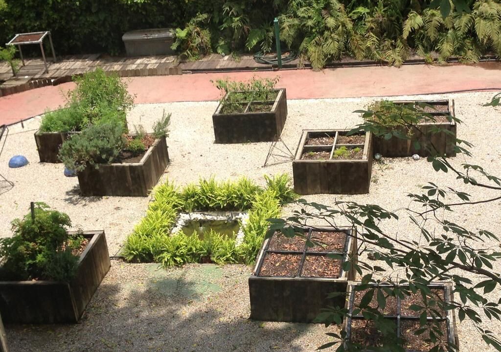 Photo of Outdoor in Cuernavaca
