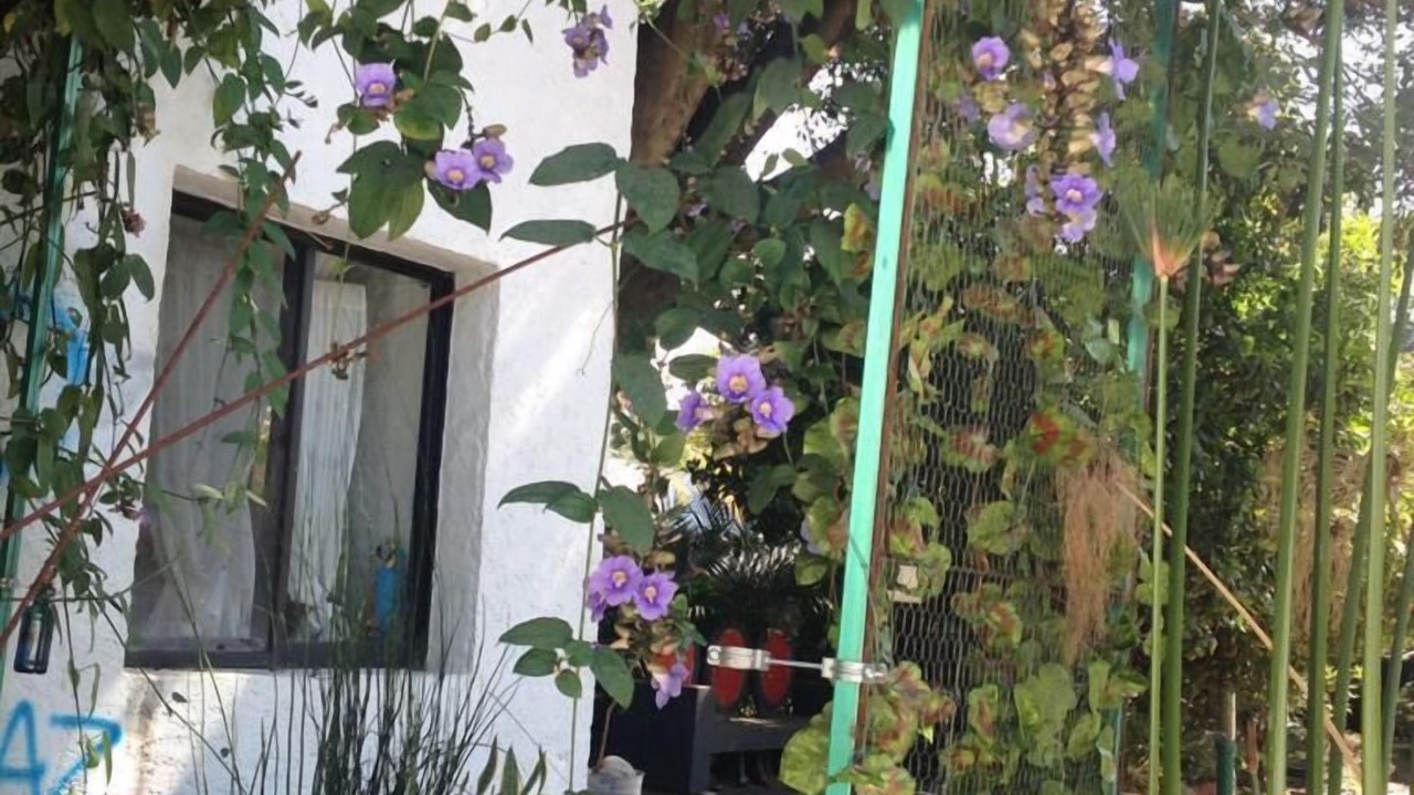 Photo of Outdoor in Cuernavaca
