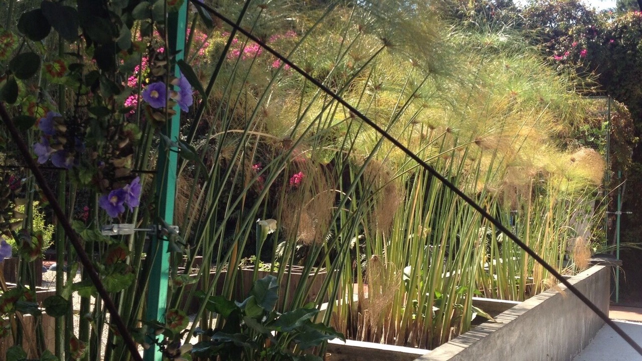 Photo of Outdoor in Cuernavaca