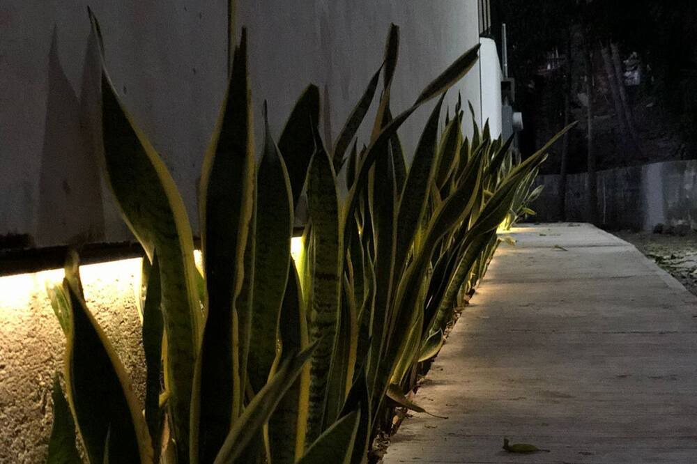 Photo of Outdoor in Rincon de Guayabitos