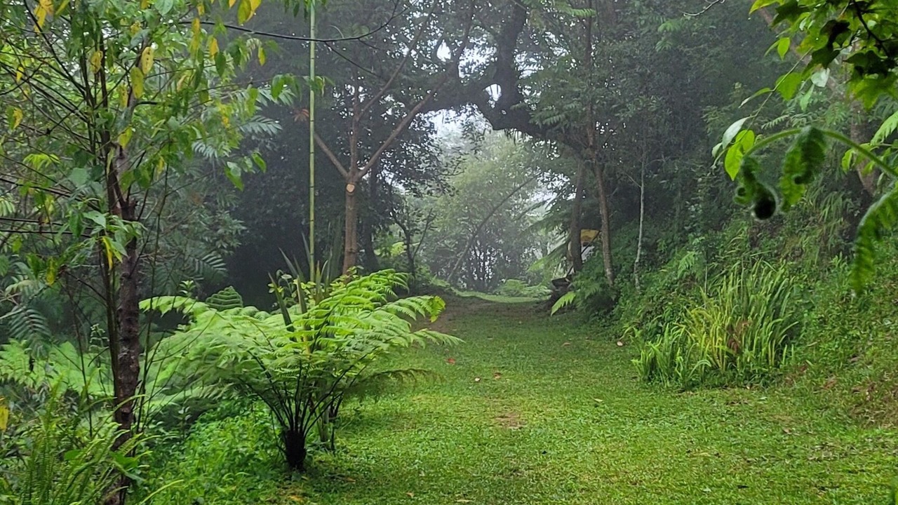 Photo of Outdoor in Cuetzalan del Progreso