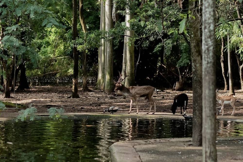Photo of Outdoor in Jiutepec