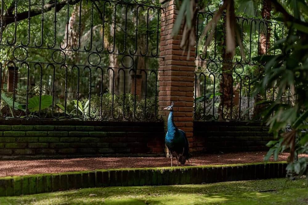 Photo of Outdoor in Jiutepec