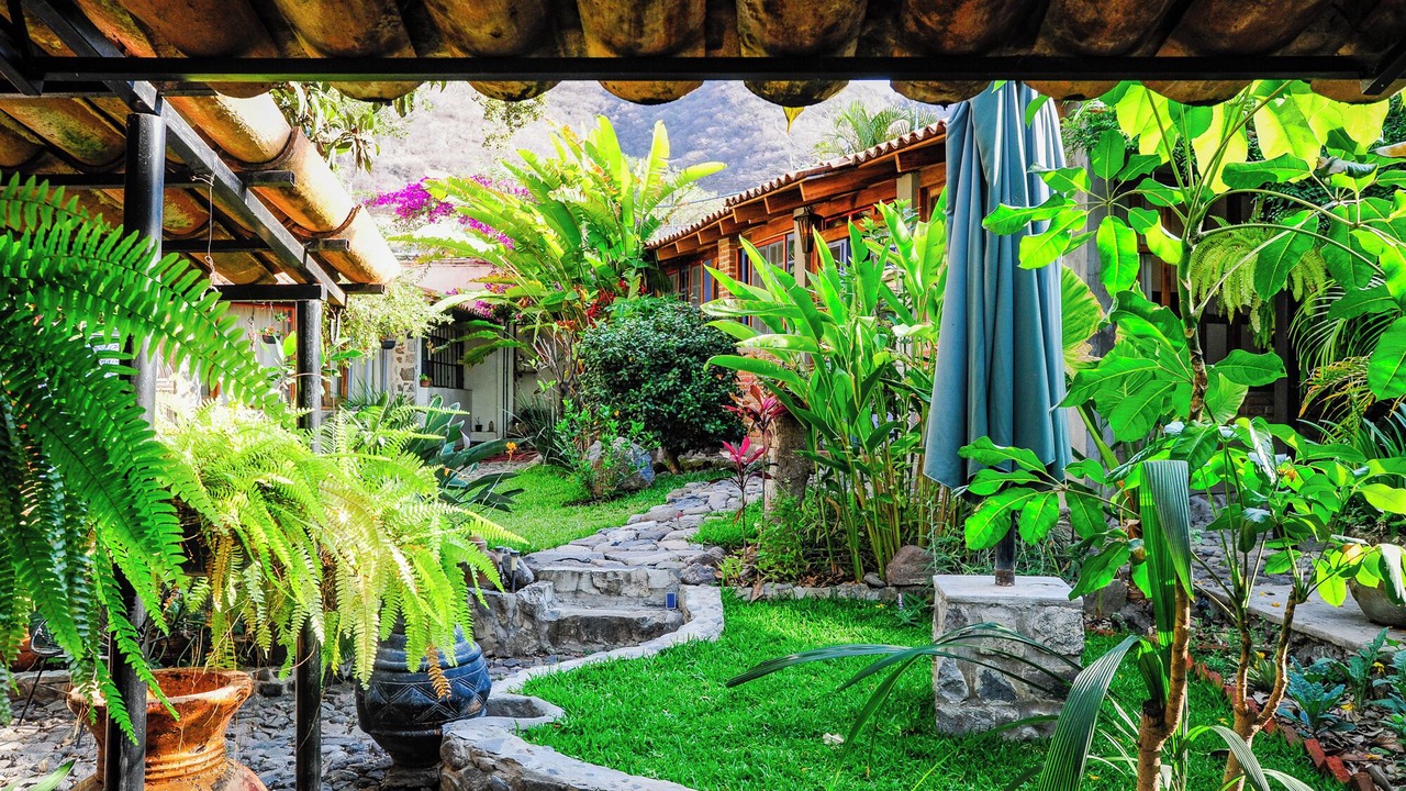 Photo of Outdoor in Ajijic