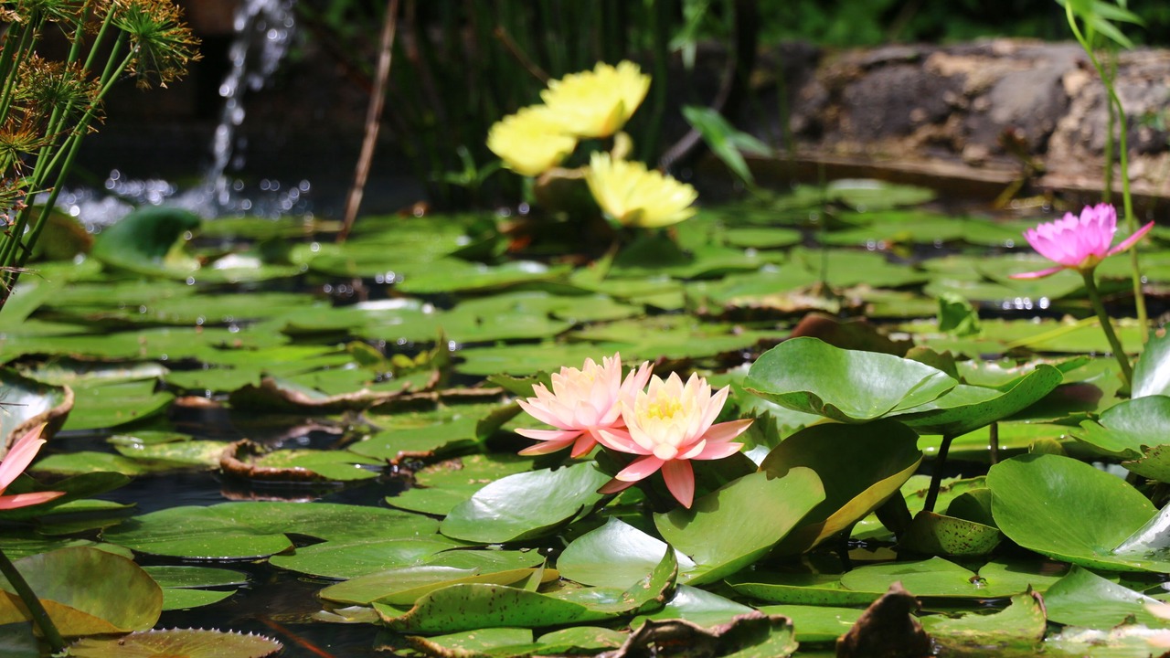 Photo of Outdoor in Tepoztlan