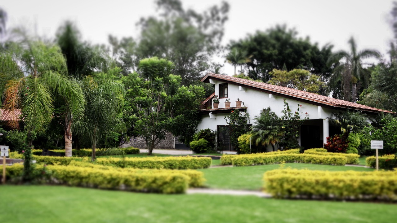 Photo of Outdoor in Tepoztlan