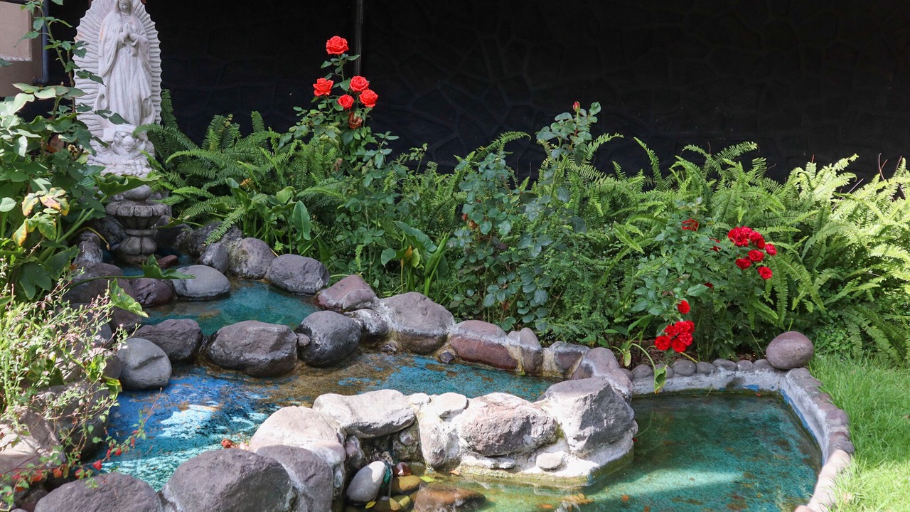 Photo of Outdoor in Tlalpan