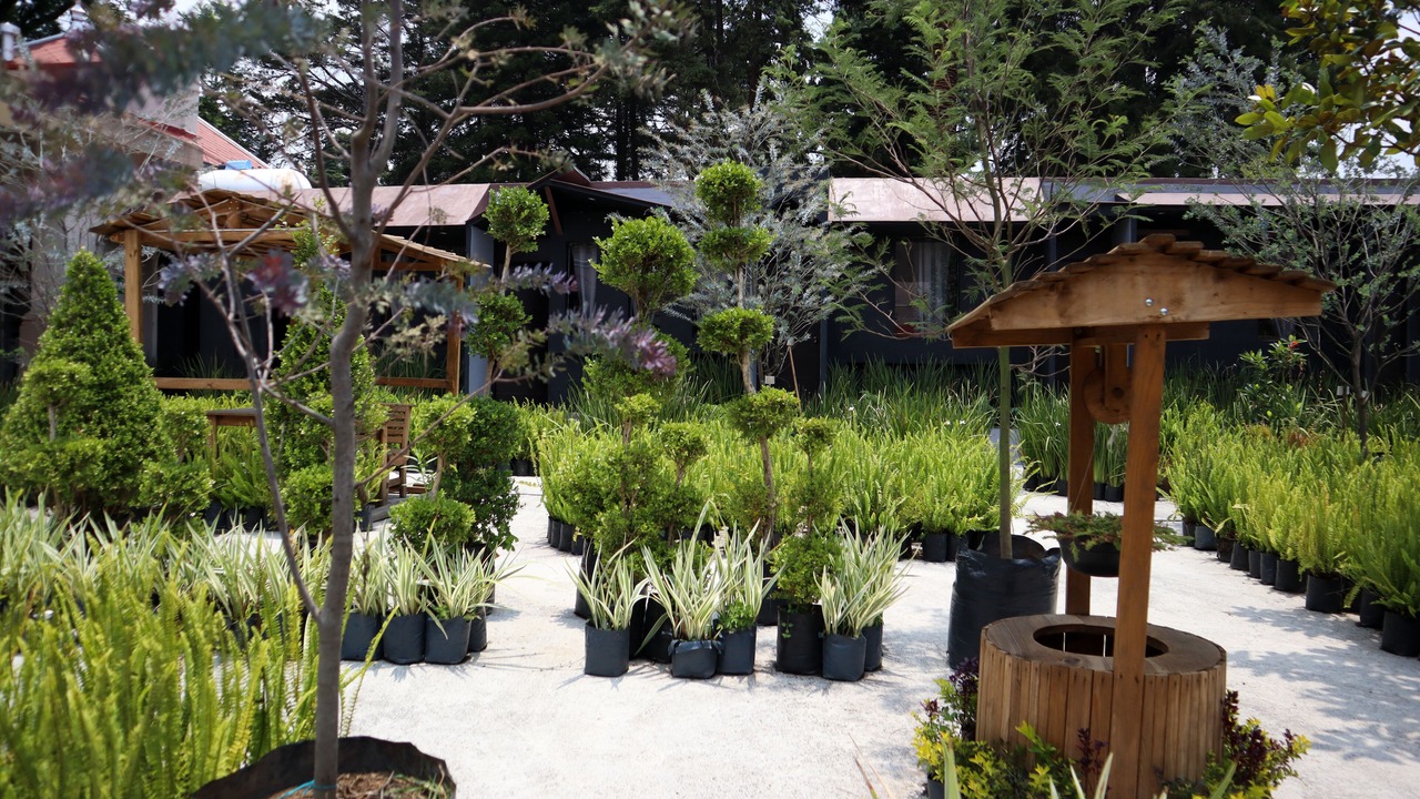 Photo of Outdoor in Tlalpan