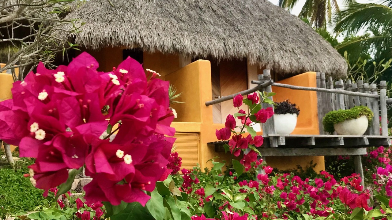 Photo of Outdoor in Costa Careyes