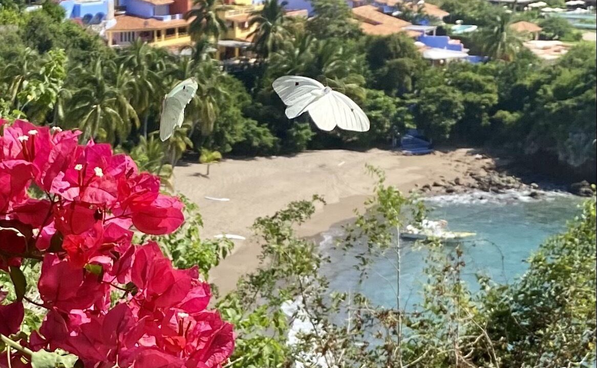 Photo of Outdoor in Costa Careyes