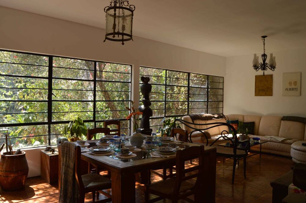 Photo of Livingroom in Coyoacan