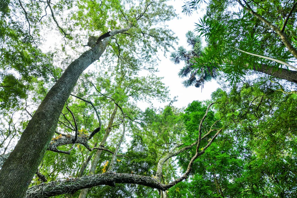Photo of Outdoor in Xinyi