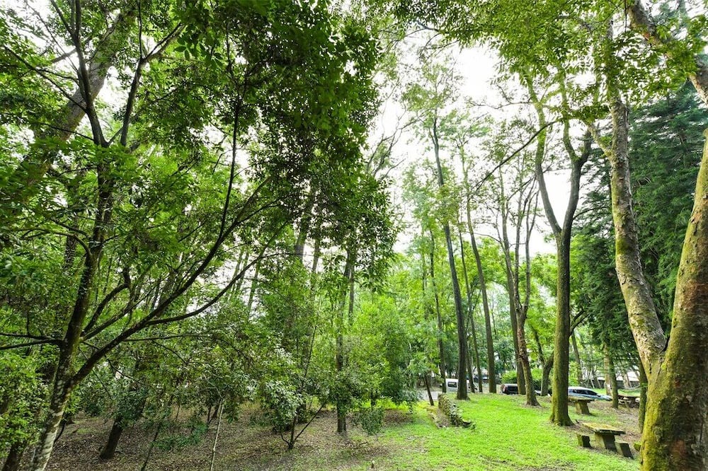 Photo of Outdoor in Xinyi
