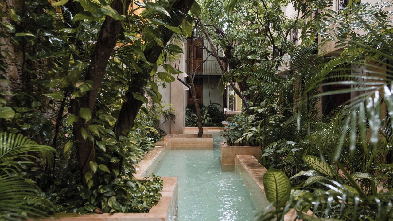 Photo of Outdoor in Zona Paseo Montejo