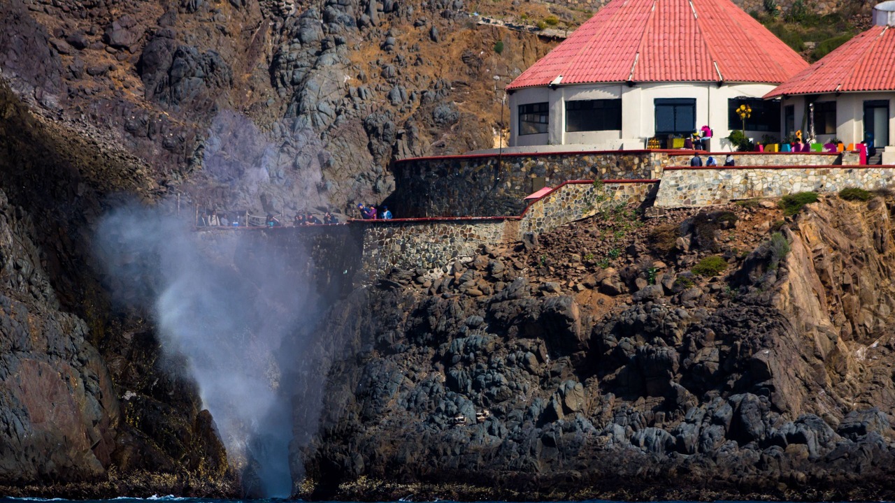 Photo of Others in Ensenada