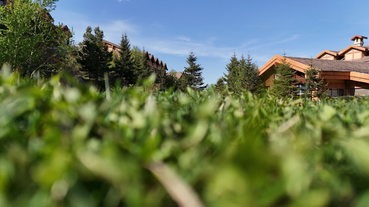 Photo of Outdoor in Songjianghe
