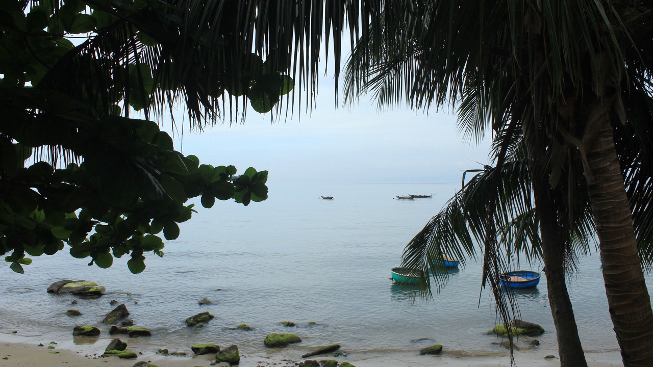 Photo of Others in Cham Island