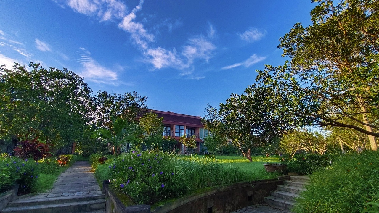 Photo of Others in Thuy Xuan