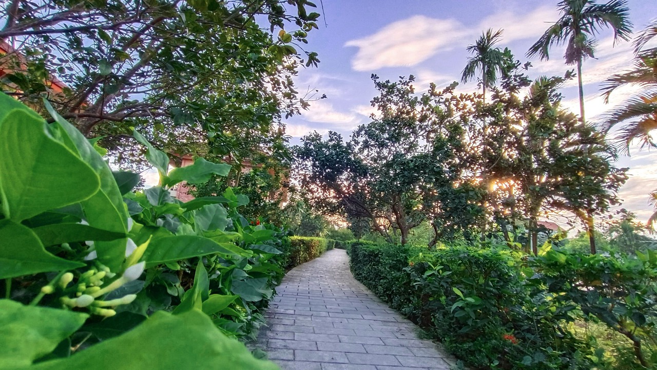 Photo of Outdoor in Thuy Xuan