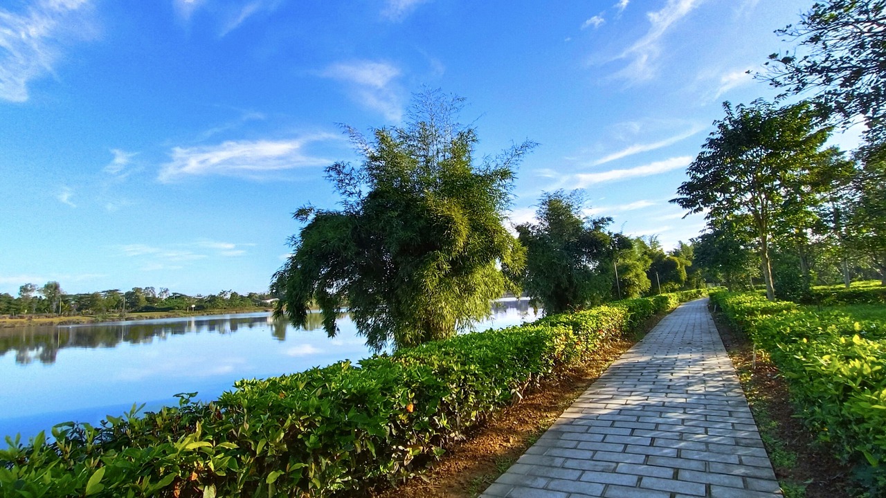 Photo of Outdoor in Thuy Xuan