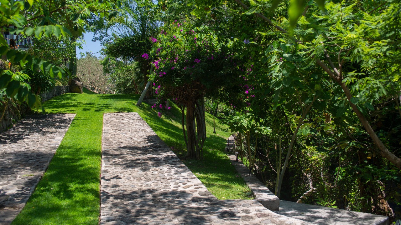 Photo of Outdoor in Cuernavaca