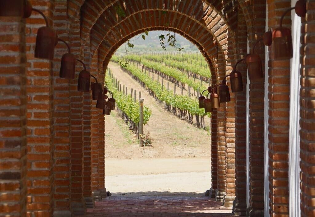 Photo of Outdoor in La Joya