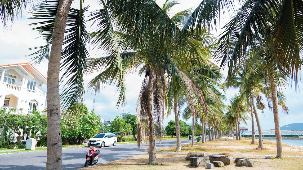 Photo of Others in Nha Trang
