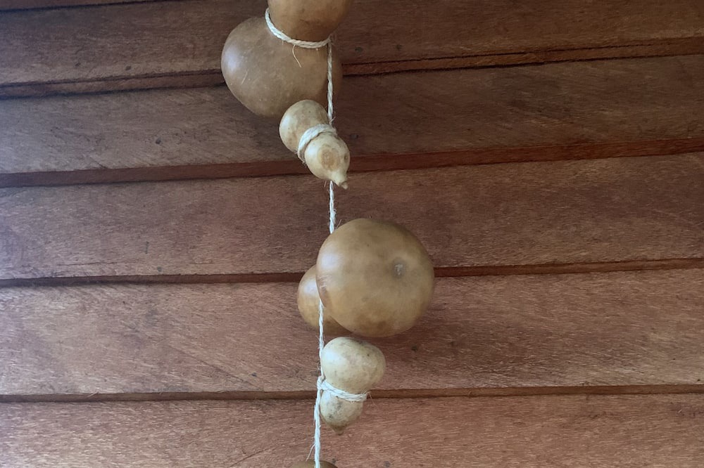 Photo of Patio Balcony in Rio Grande