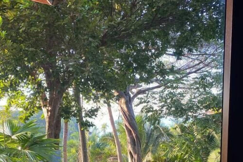 Photo of Others in Chacala