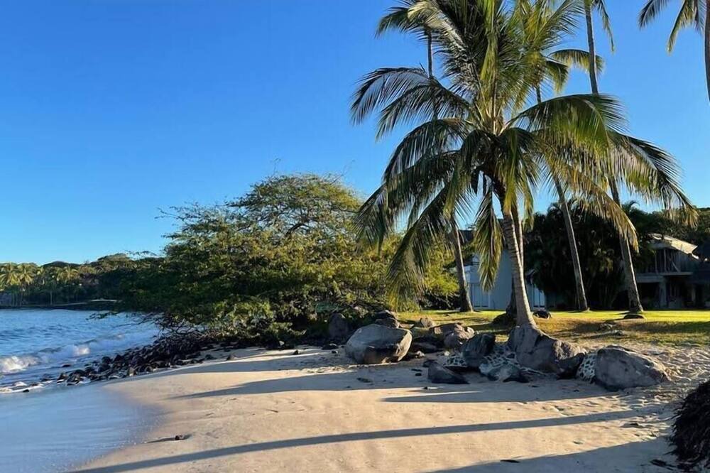 Photo of Others in Chacala