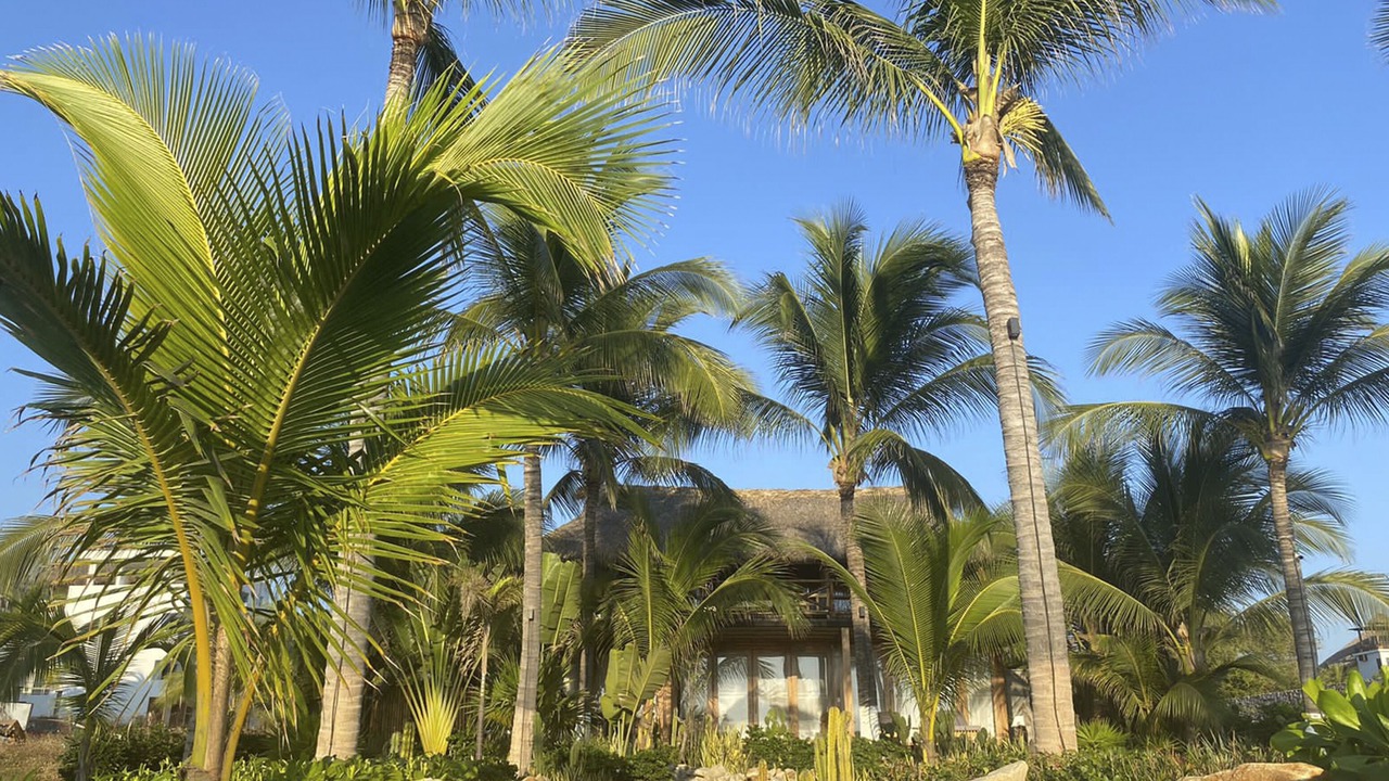 Photo of Outdoor in Brisas de Zicatela