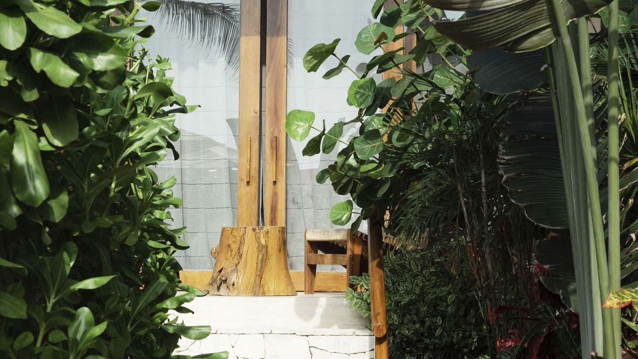 Photo of Outdoor in Brisas de Zicatela