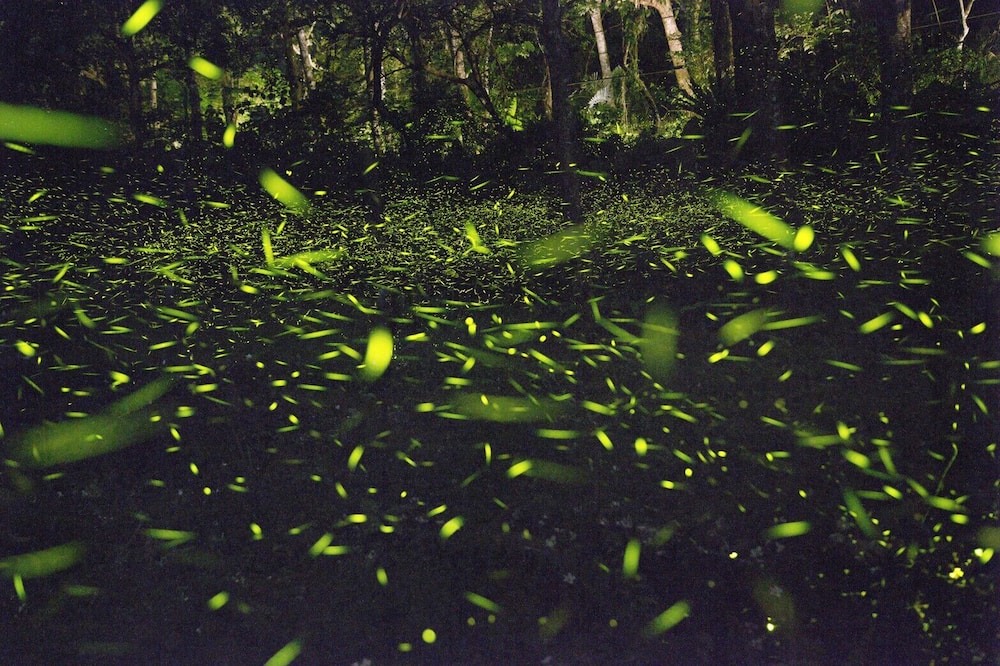 Photo of Others in Nanzhuang
