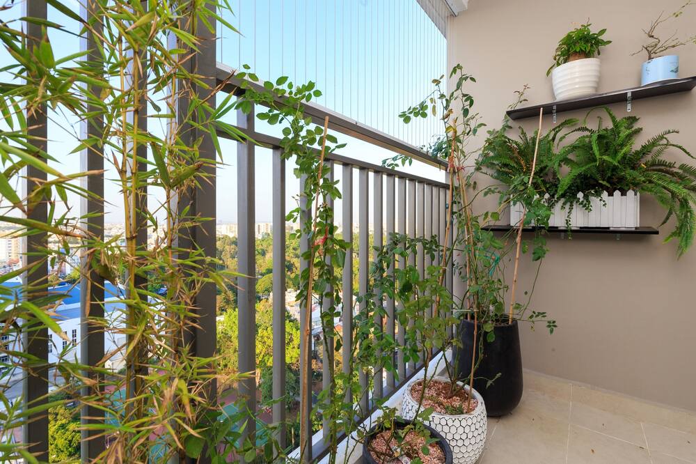 Photo of Patio Balcony in Tan Binh