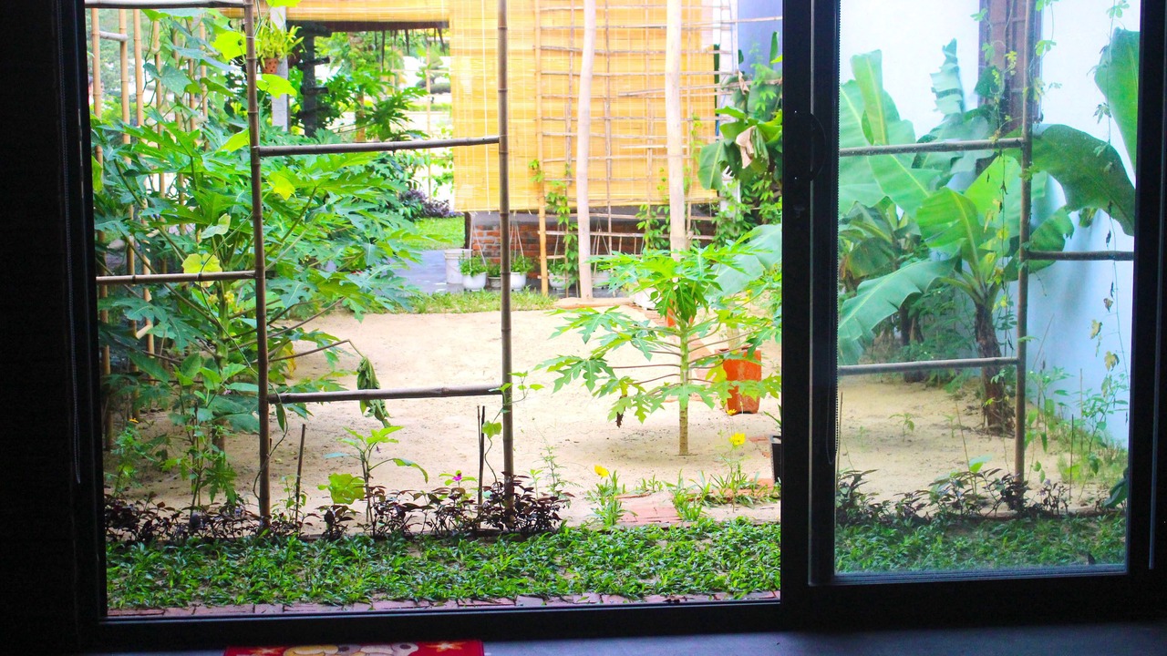 Photo of Outdoor in Dien Duong