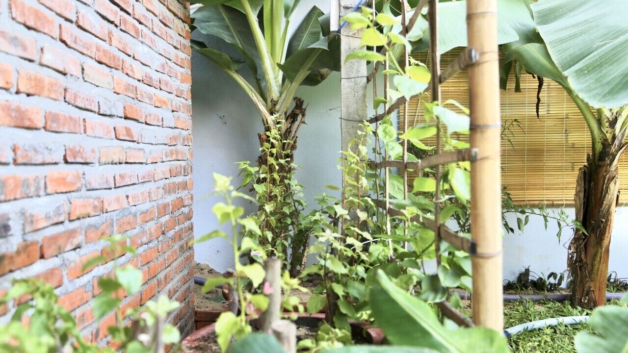 Photo of Outdoor in Dien Duong
