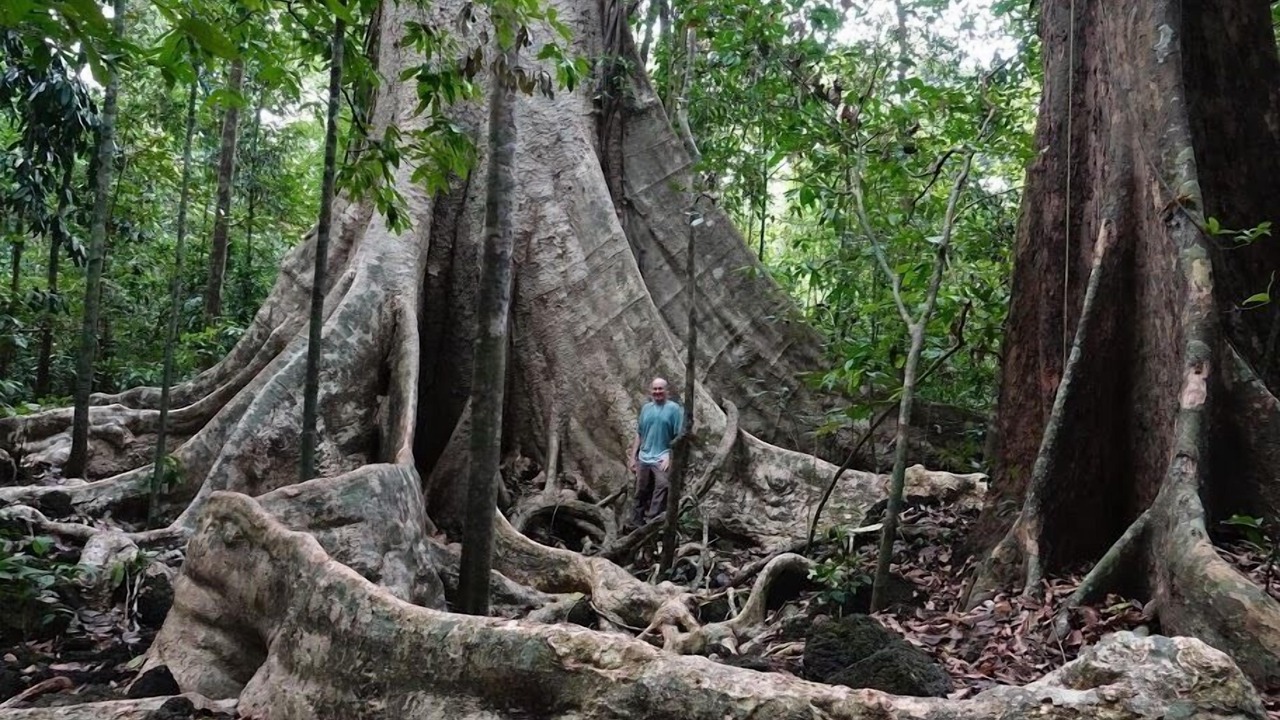Photo of Outdoor in Quan Tom
