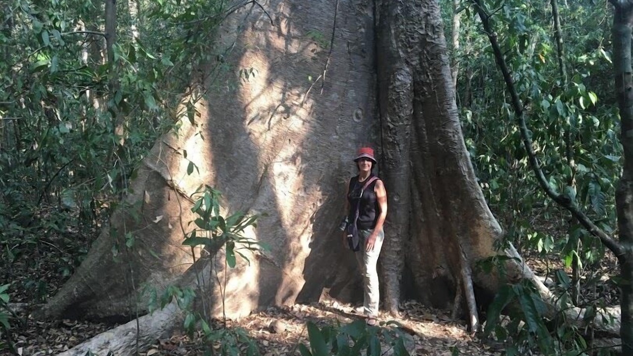Photo of Outdoor in Quan Tom