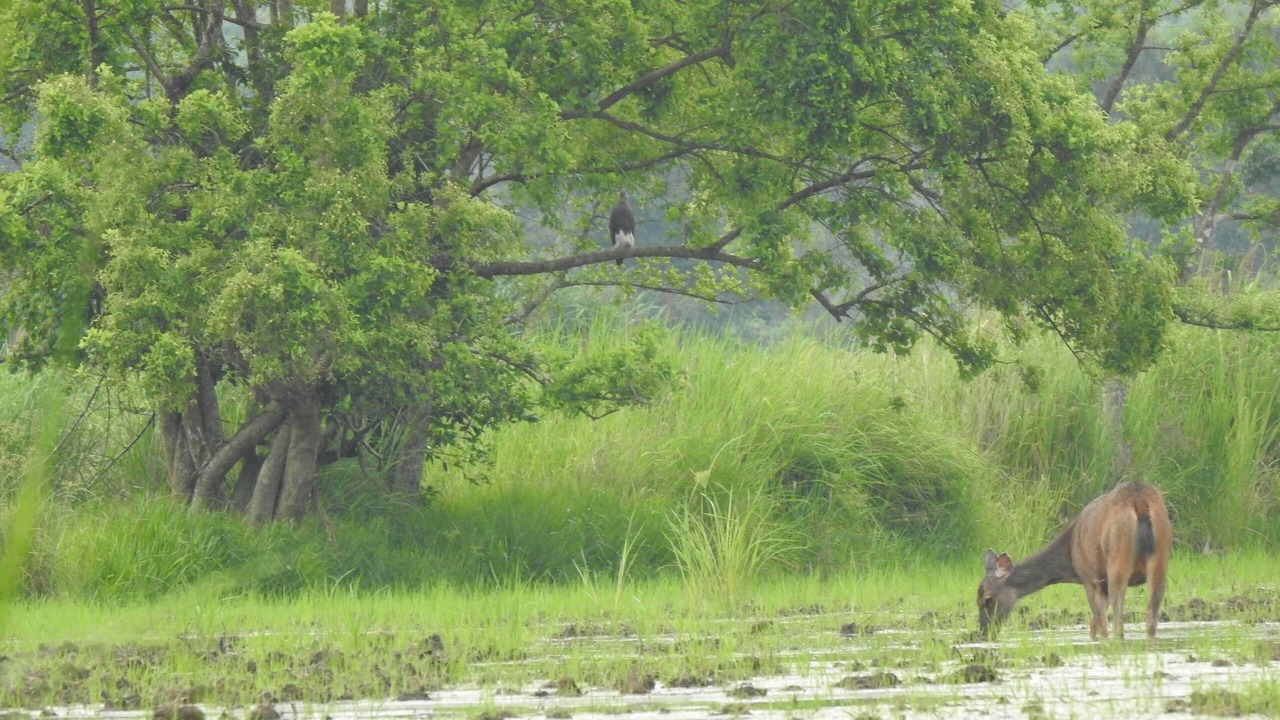 Photo of Others in Quan Tom
