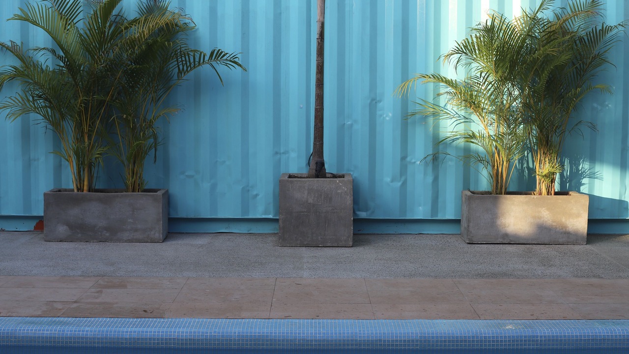 Photo of Outdoor in Emiliano Zapata