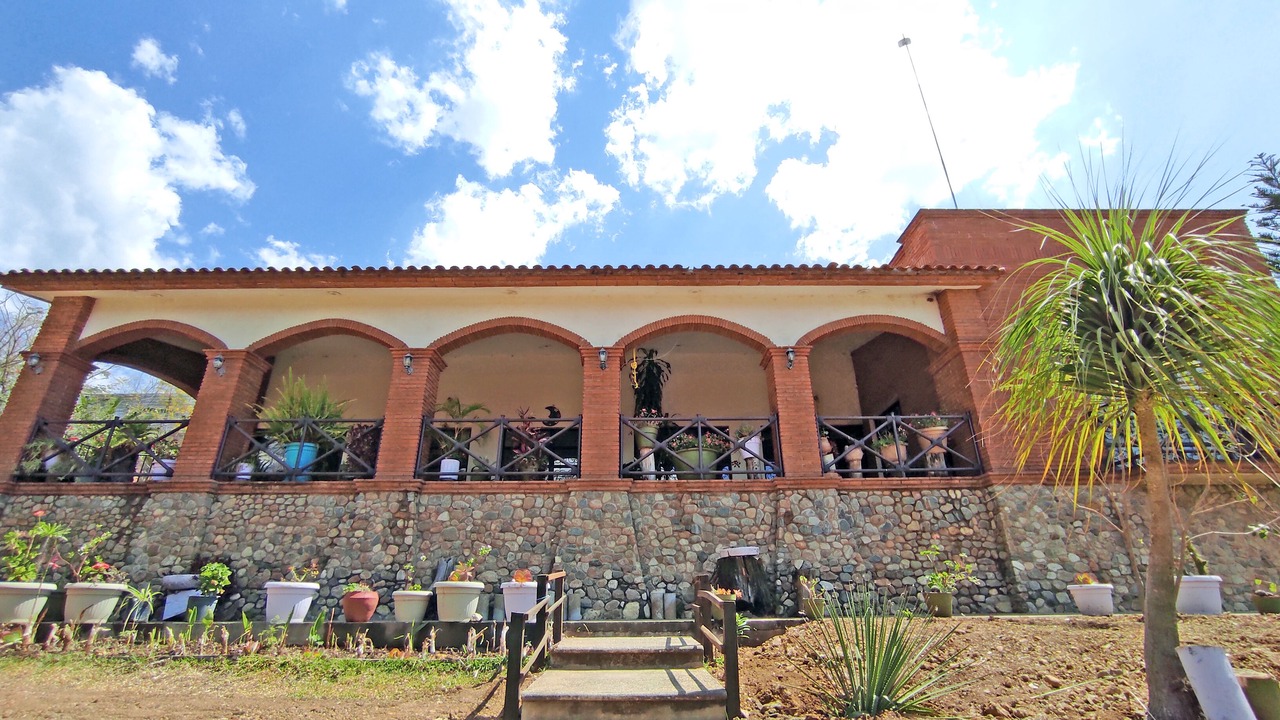 Photo of Others in Oaxaca