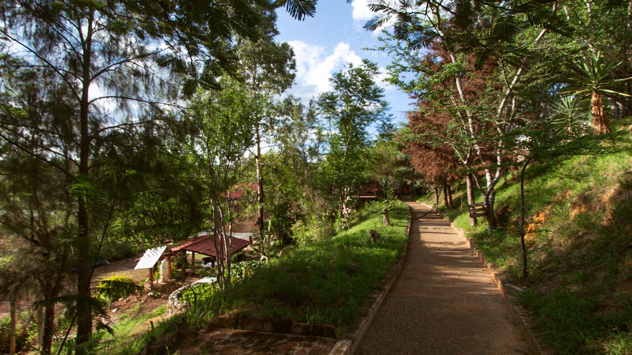 Photo of Outdoor in Oaxaca