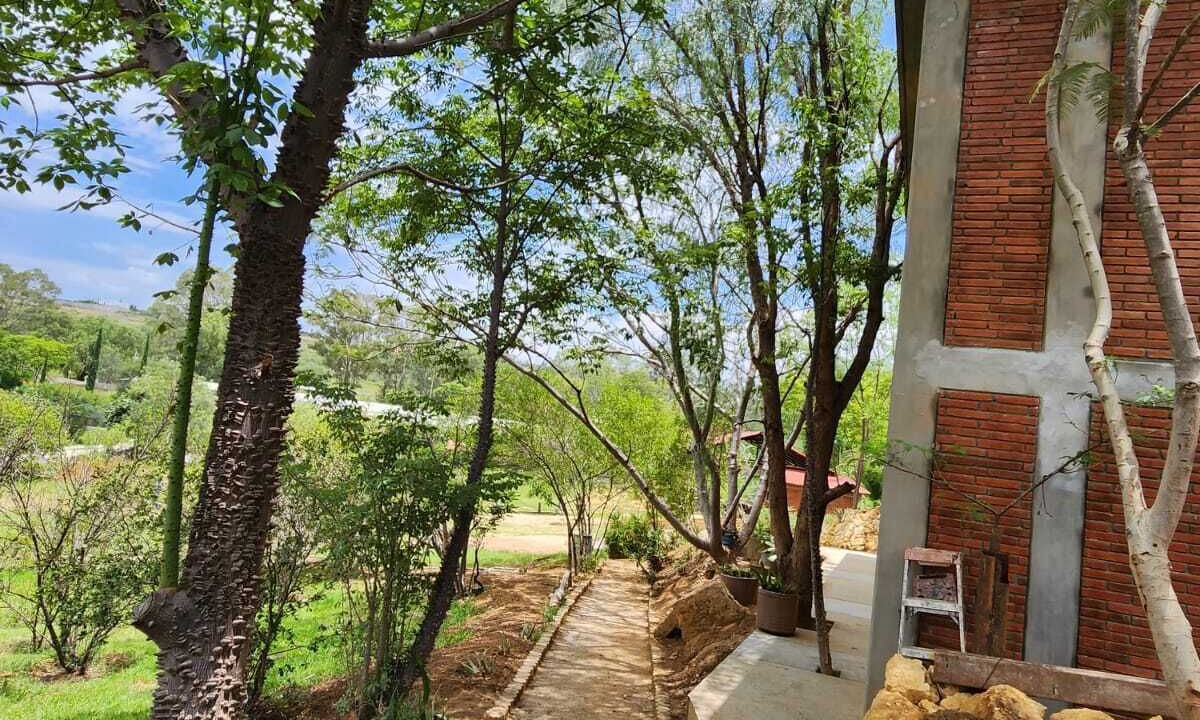 Photo of Outdoor in Oaxaca