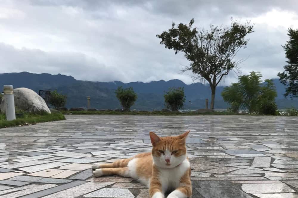 Photo of Outdoor in Yuli