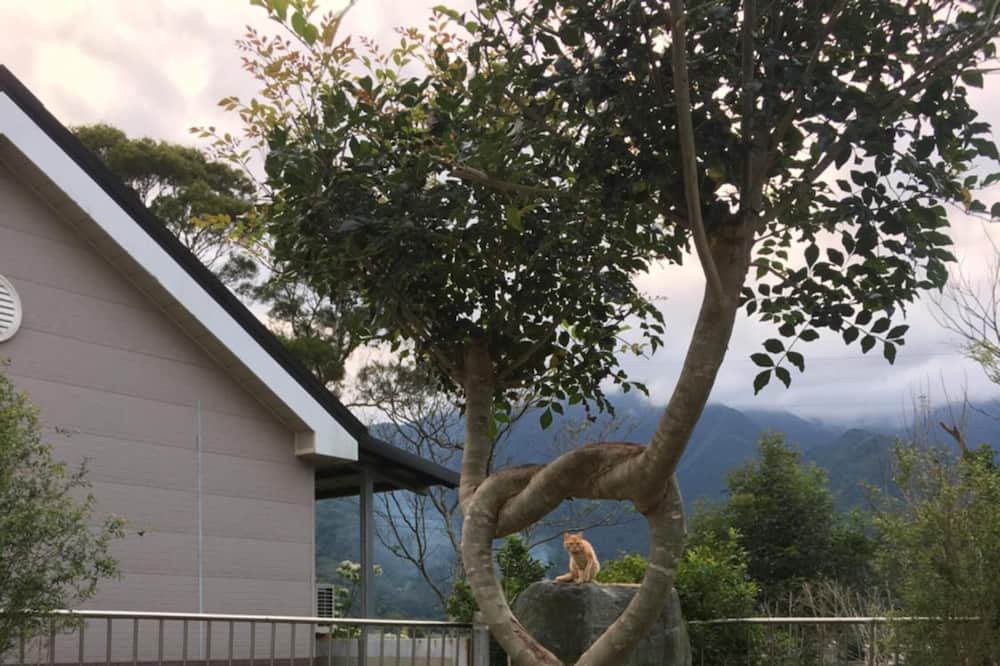 Photo of Outdoor in Yuli