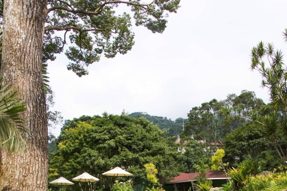 Photo of Outdoor in Nanzhuang